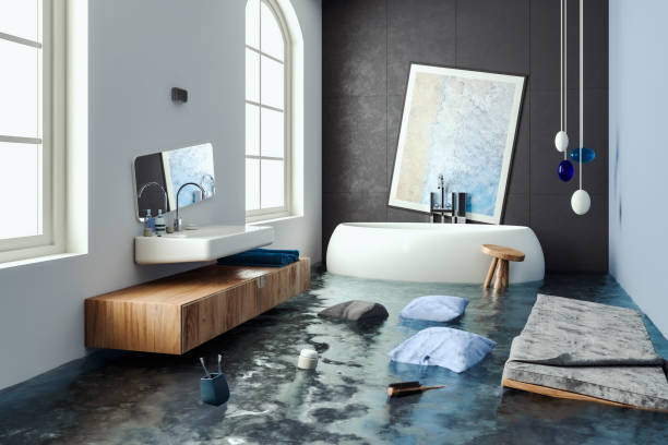 Best Professional water damage repair  in Miami, AZ