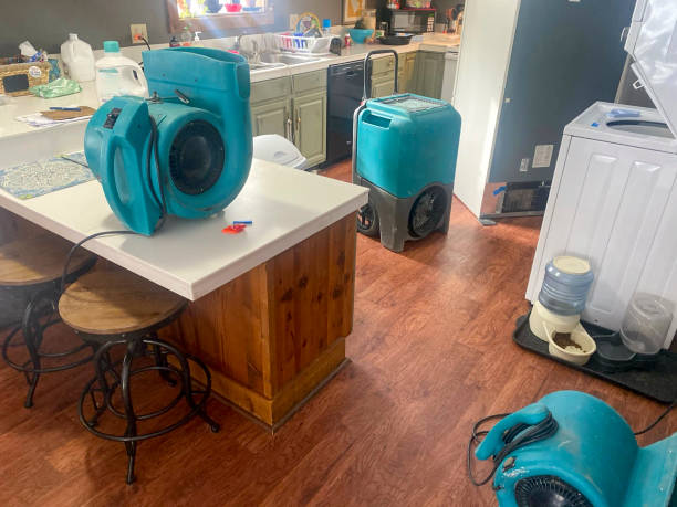 Best Residential water damage restoration  in Miami, AZ