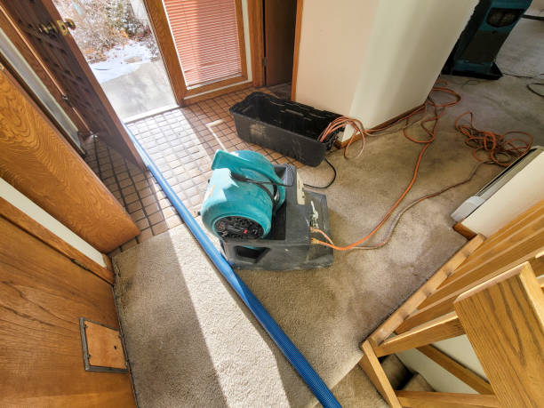Trusted Miami, AZ Water damage restoration Experts