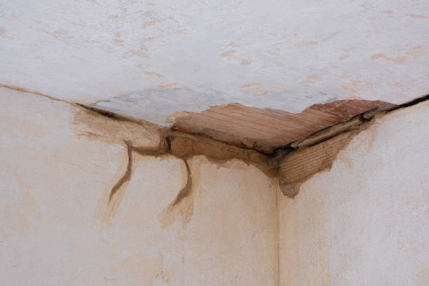 Best Sewage cleanup and water damage restoration  in Miami, AZ