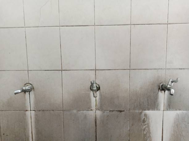 Best 24-hour water damage restoration  in Miami, AZ