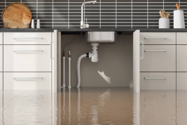 Best Flooded house restoration  in Miami, AZ